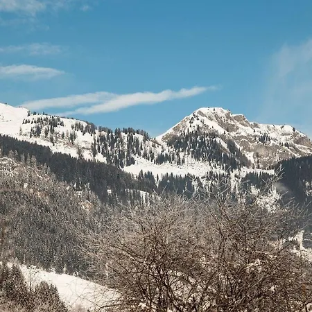 Birnbaum Kreuzkogel Mit Naturbadesee Und Eingezaeunten Garten *