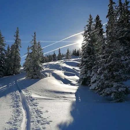Birnbaum Kreuzkogel Mit Naturbadesee Und Eingezaeunten Garten *