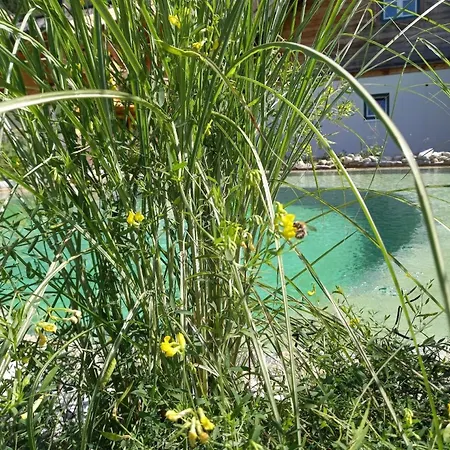 Birnbaum Kreuzkogel Mit Naturbadesee Und Eingezaeunten Garten